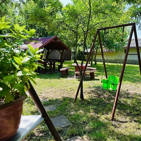 Alfoeldi Vendeghaz - *