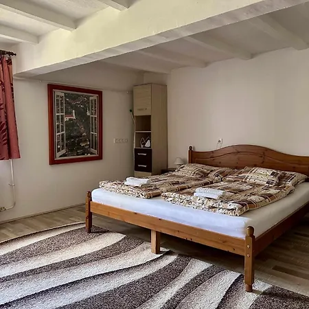 Alfoeldi Vendeghaz - Apartament
