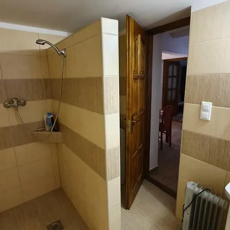 Alfoeldi Vendeghaz - *