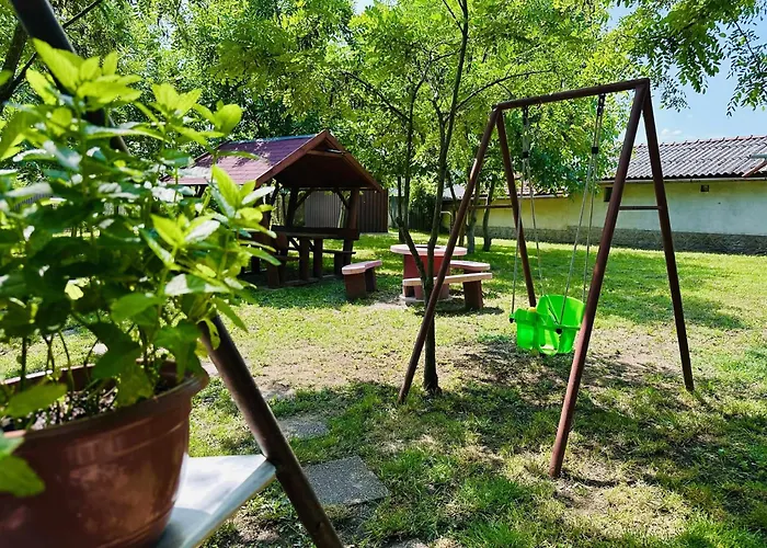 Alfoeldi Vendeghaz - *