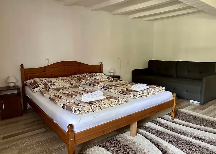 Alfoeldi Vendeghaz - *