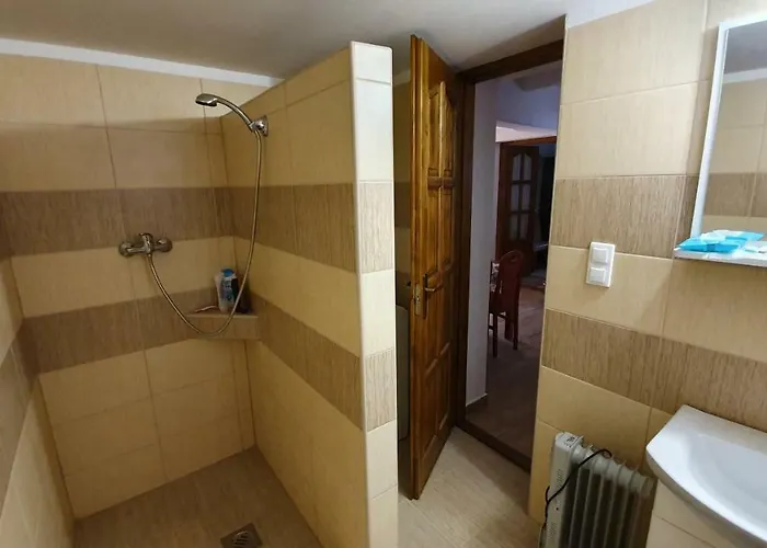 Alfoeldi Vendeghaz - *